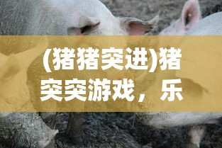 (猪猪突进)猪突突游戏，乐趣与挑战并存