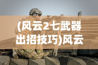 (风云2七武器出招技巧)风云2七武器攻略图文RPG，全方位解析与常见问题解答