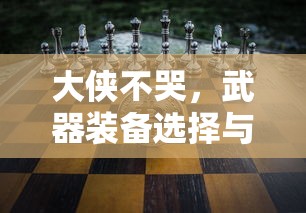 大侠不哭，武器装备选择与策略分析