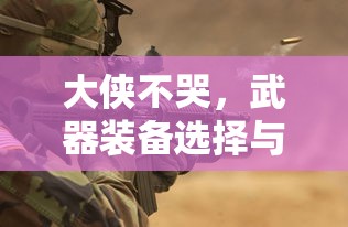 大侠不哭，武器装备选择与策略分析