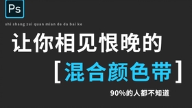 劈山大师不减反增2024下载-劈山大师不减反增最新版煎饼店免广告下载v.9.48