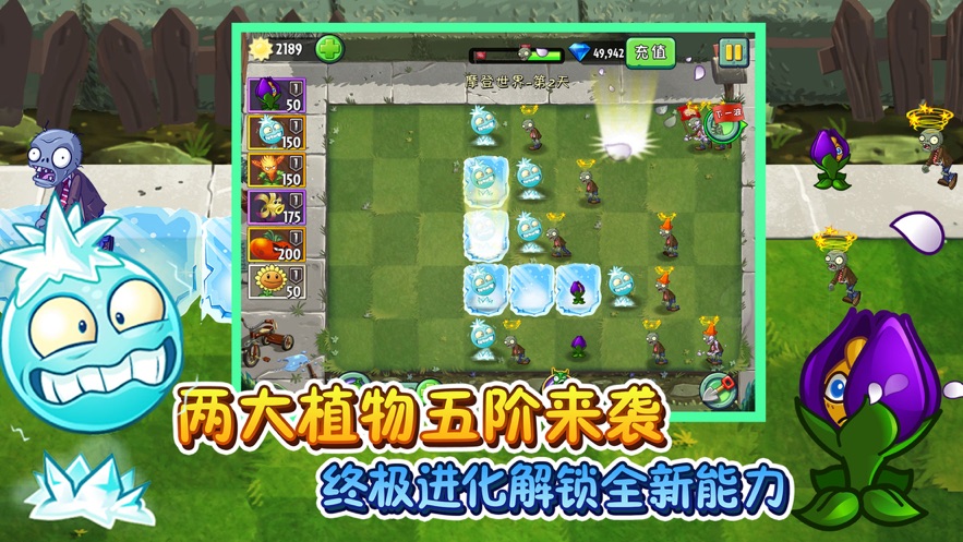植物娘大战僵尸向日葵正版下载-植物娘大战僵尸向日葵下载安卓v.2.97