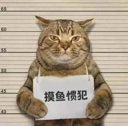 猫咪大作战监控人模组汉化版下载安装-猫咪大作战监控人模组无限金币内购版下载v.4.43